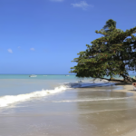 Almond Bay Providencia